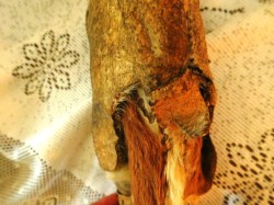 RAWHIDE INUIT SIDE